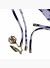 Roberto Cavalli 